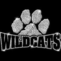 GLT32 SILVER GLITTER Thumbnail